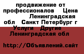 SEO-продвижение от профессионалов! › Цена ­ 10 000 - Ленинградская обл., Санкт-Петербург г. Услуги » Другие   . Ленинградская обл.